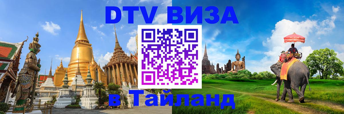 Оформление DTV визы под ключ: стоимость и тарифы, только загранпаспорт - 